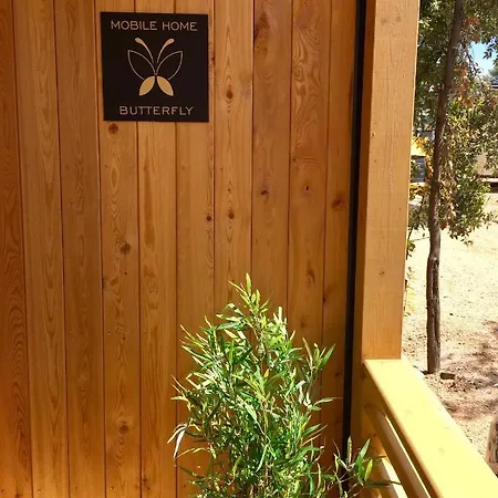 Mobile Butterfly Biograd Na Moru